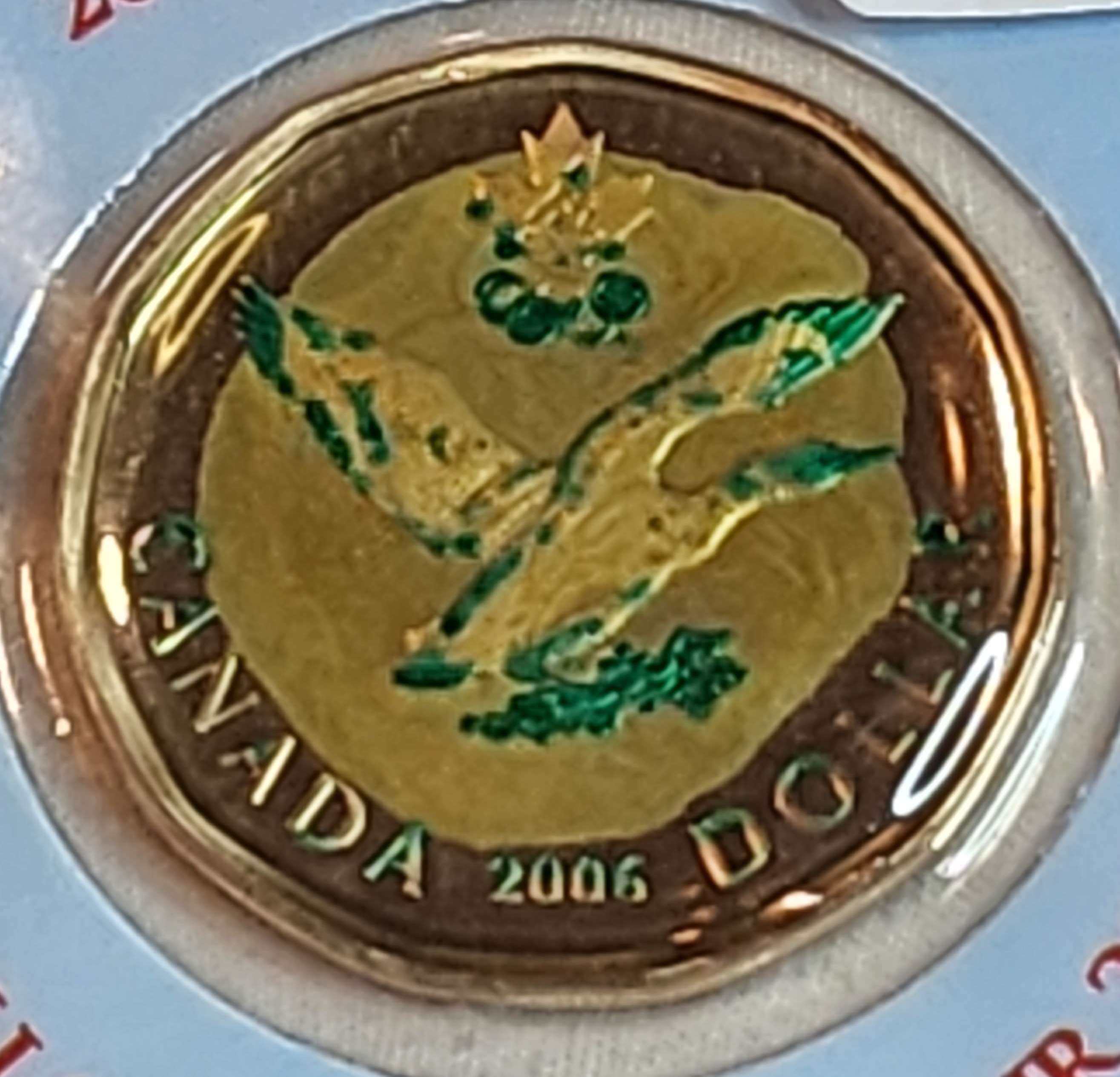 2006-Unlucky-Loonie-Damage?